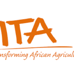 International Institute of Tropical Agriculture