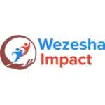 Wezesha Impact