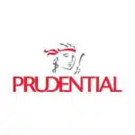 Agency Development Executive