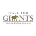 Space for Giants